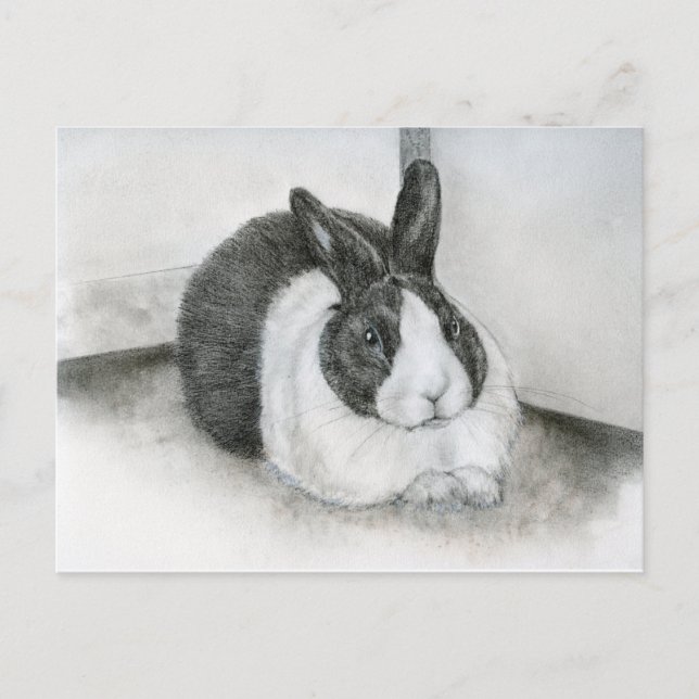 Lancelot Postcard (Front)