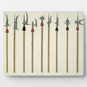Lances, spears, halberds and partisanes, plate fro plaque