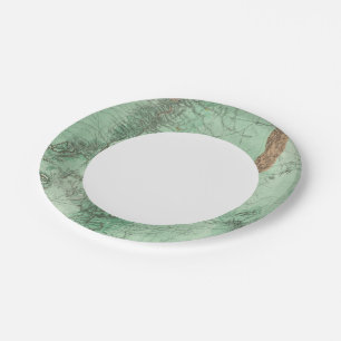 Land Classification Map of New Mexico 2 Paper Plate