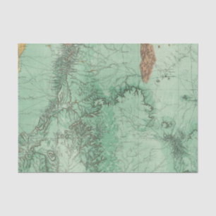 Land Classification Map of New Mexico 2 Tissue Paper