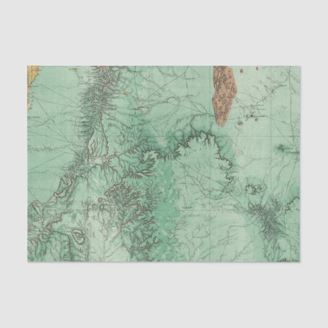 Land Classification Map of New Mexico 2 Tissue Paper (Front)