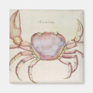 Land Crab Magnet