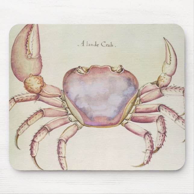 Land Crab Mouse Pad (Front)