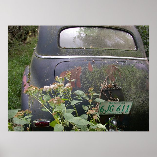 Land of 10,000 Lakes Poster (Front)