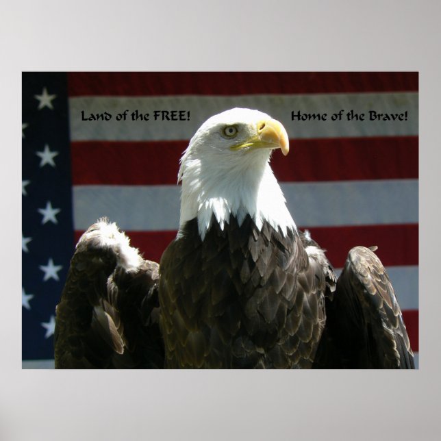 Land of the Free Poster (Front)