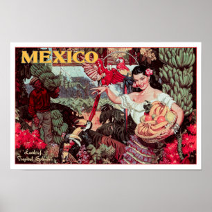 LAND of TROPICAL SPLENDOR MEXICO c. 1950 Poster