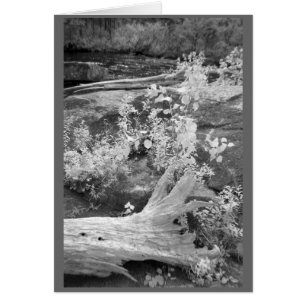 Landcape in rural New Hampshire