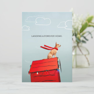 Landing a Forever Home Invitation