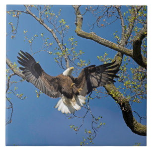 Landing Approach Ceramic Tile