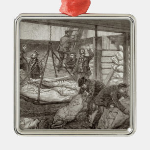 Landing Australian Frozen Meat Metal Ornament