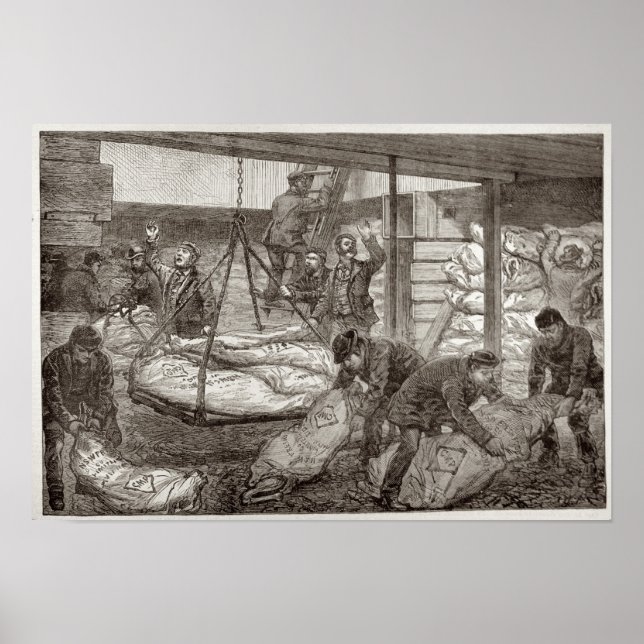 Landing Australian Frozen Meat Poster (Front)