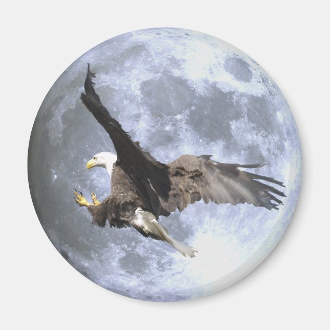 Landing BALD EAGLE & FULL MOON Wildlife Magnet (Front)