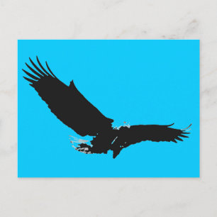 Landing Eagle Silhouette Postcard