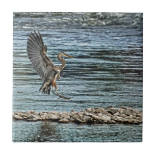 Landing Great Blue Heron Wildlife Birdlover Design Ceramic Tile