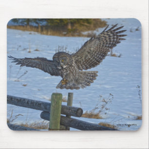 Landing Great Grey Owl and Snow Wildlife Raptor Mouse Pad