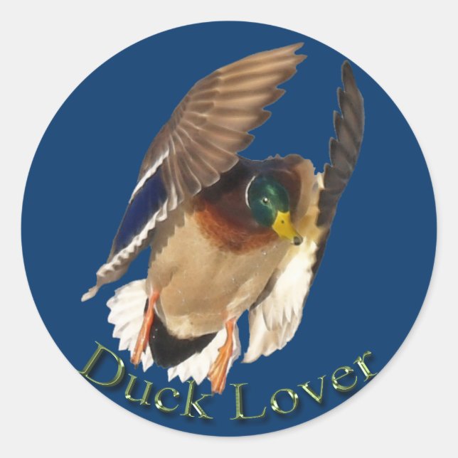 Landing Mallard Duck Drake Bird Wildlife Sticker (Front)