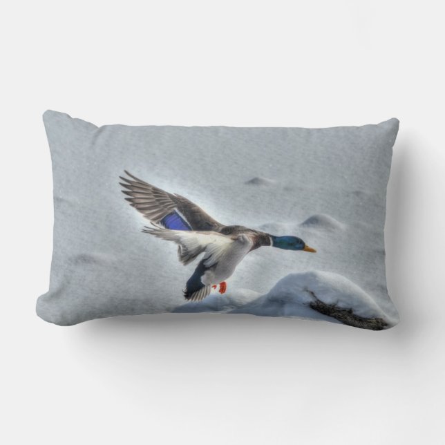 Landing Mallard Duck Drake Wildlife Photo Lumbar Cushion (Front)