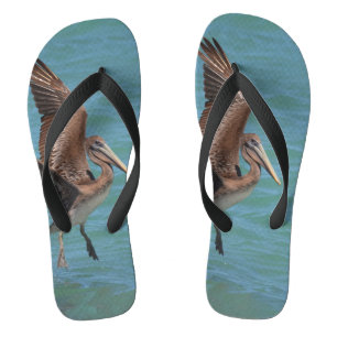 Landing Pelican Thongs