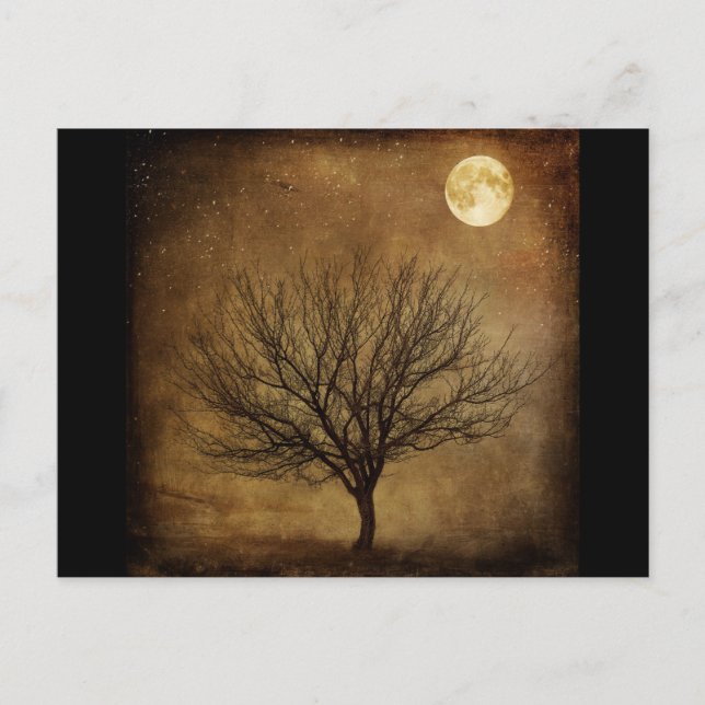 landscape-680226 DARK BROWN BACKGROUND BLACK TREE  Postcard (Front)