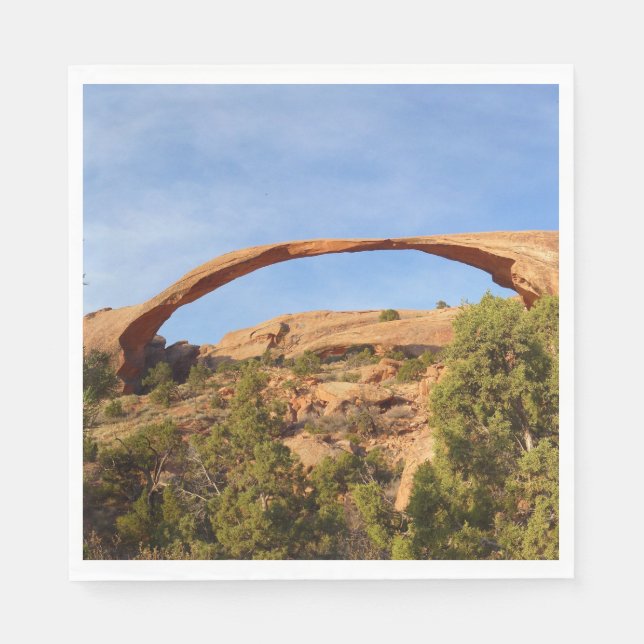 Landscape Arch at Arches National Park Napkin (Front)