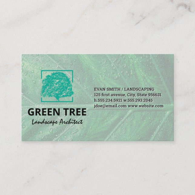 Landscape Architect | Tree Business Card (Front)