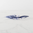 Landscape Blue Octopus