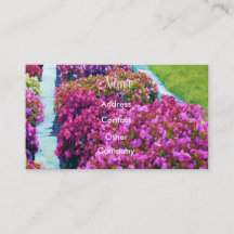 Landscape Designer Profile Card - Customisable