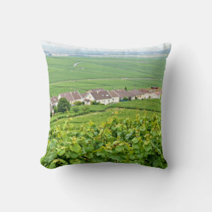 landscape in Champagne-Ardenne, France Cushion