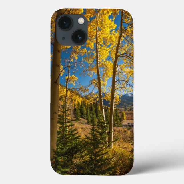 Landscape in San Juan Mountains Case-Mate iPhone Case (Back)