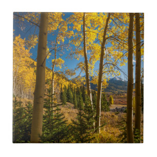 Landscape in San Juan Mountains Ceramic Tile