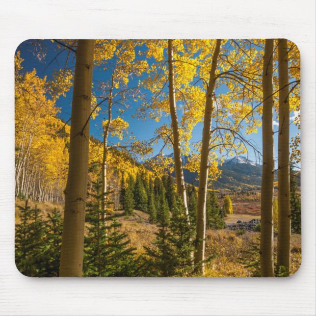 Landscape in San Juan Mountains Mouse Pad (Front)