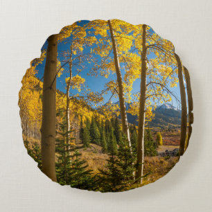 Landscape in San Juan Mountains Round Cushion