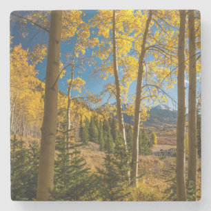 Landscape in San Juan Mountains Stone Coaster