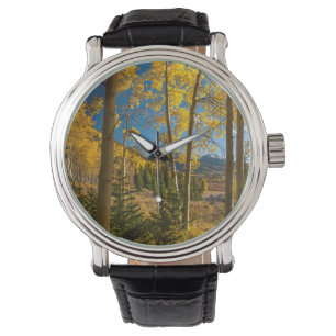 Landscape in San Juan Mountains Watch