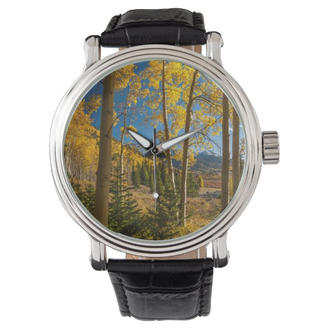 Landscape in San Juan Mountains Watch (Front)