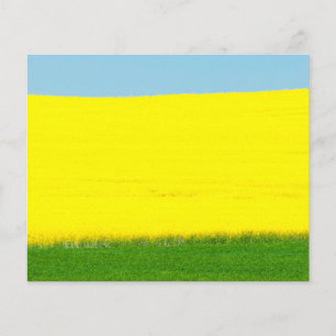 Landscape Meadow Flyer