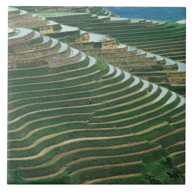 Landscape of rice terraces in the mountain, 3 ceramic tile (Front)