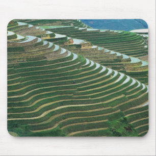 Landscape of rice terraces in the mountain, 3 mouse pad