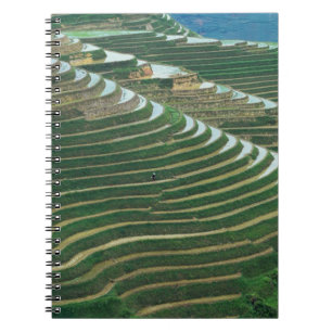 Landscape of rice terraces in the mountain, 3 notebook