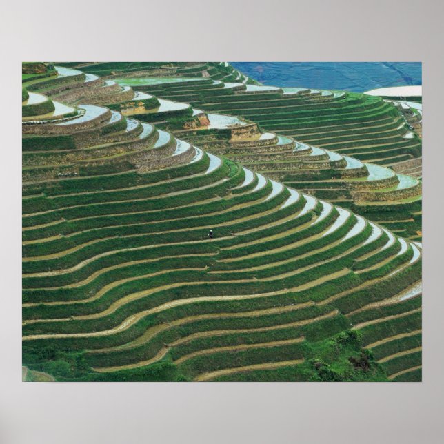 Landscape of rice terraces in the mountain, 3 poster (Front)