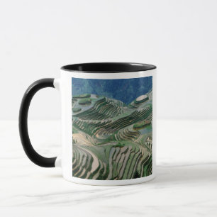 Landscape of rice terraces in the mountain, mug