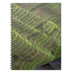 Landscape of rice terraces in the mountain, notebook