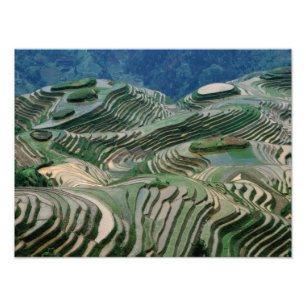 Landscape of rice terraces in the mountain, photo print