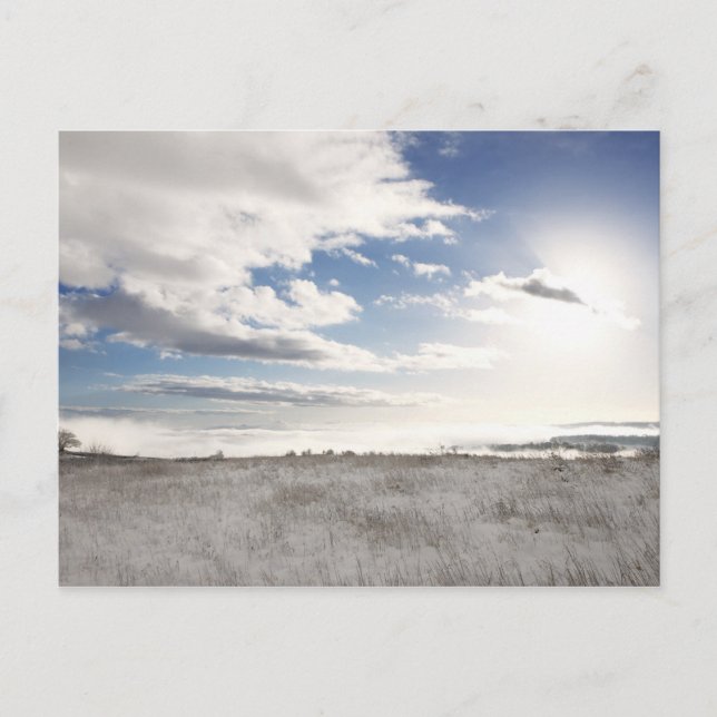 landscape of snow covered grassy field postcard (Front)