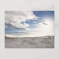 landscape of snow covered grassy field
