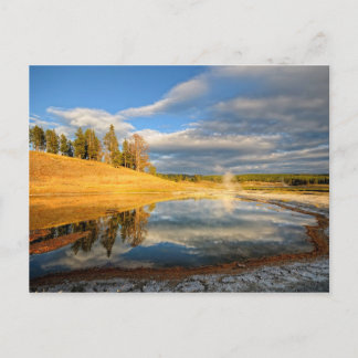 Landscape of Yellowstone Postcard