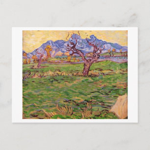 Landscape Olive Tree Mountains, Van Gogh Fine Art Postcard