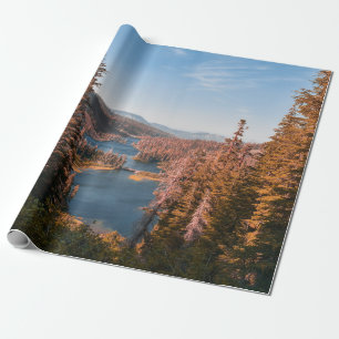 LANDSCAPE PHOTO OF TREES NEAR BODY OF WATER DURING WRAPPING PAPER