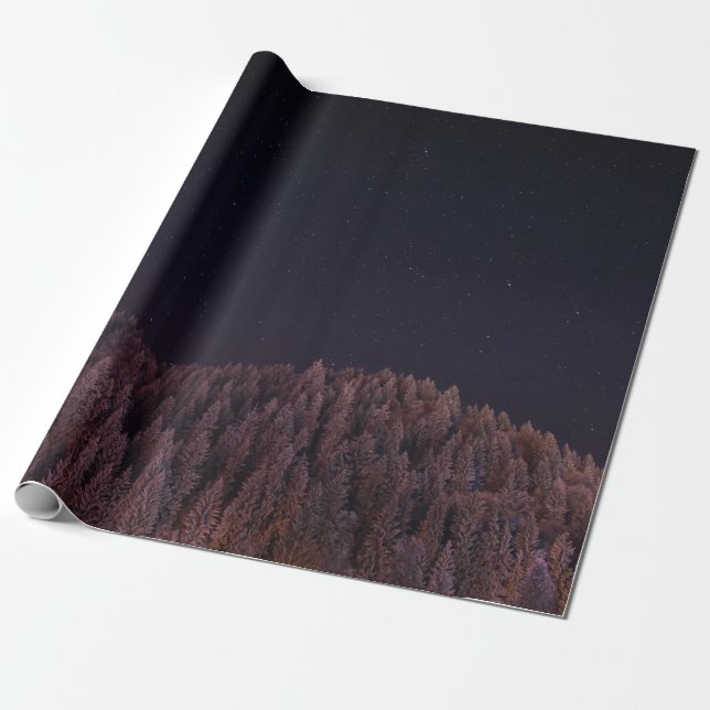 LANDSCAPE PHOTO OF TREES WRAPPING PAPER (Unrolled)