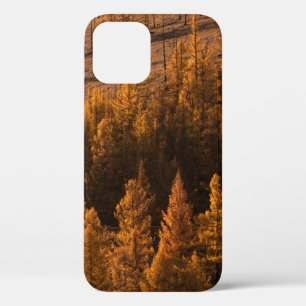 LANDSCAPE PHOTOGRAPHY OF BROWN-LEAFED TREES iPhone 12 CASE